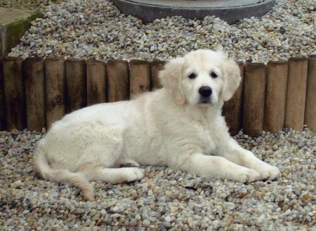 Baïa des Etangs de Bel Air